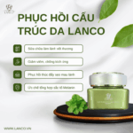 BẬT MÍ CÁCH CHỮA LÀNH VÀ PHỤC HỒI LÀN DA HƯ TỔN