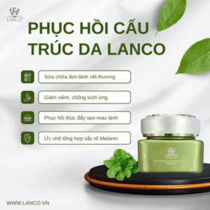 Chữa lành và phục hồi làn da hư tổn